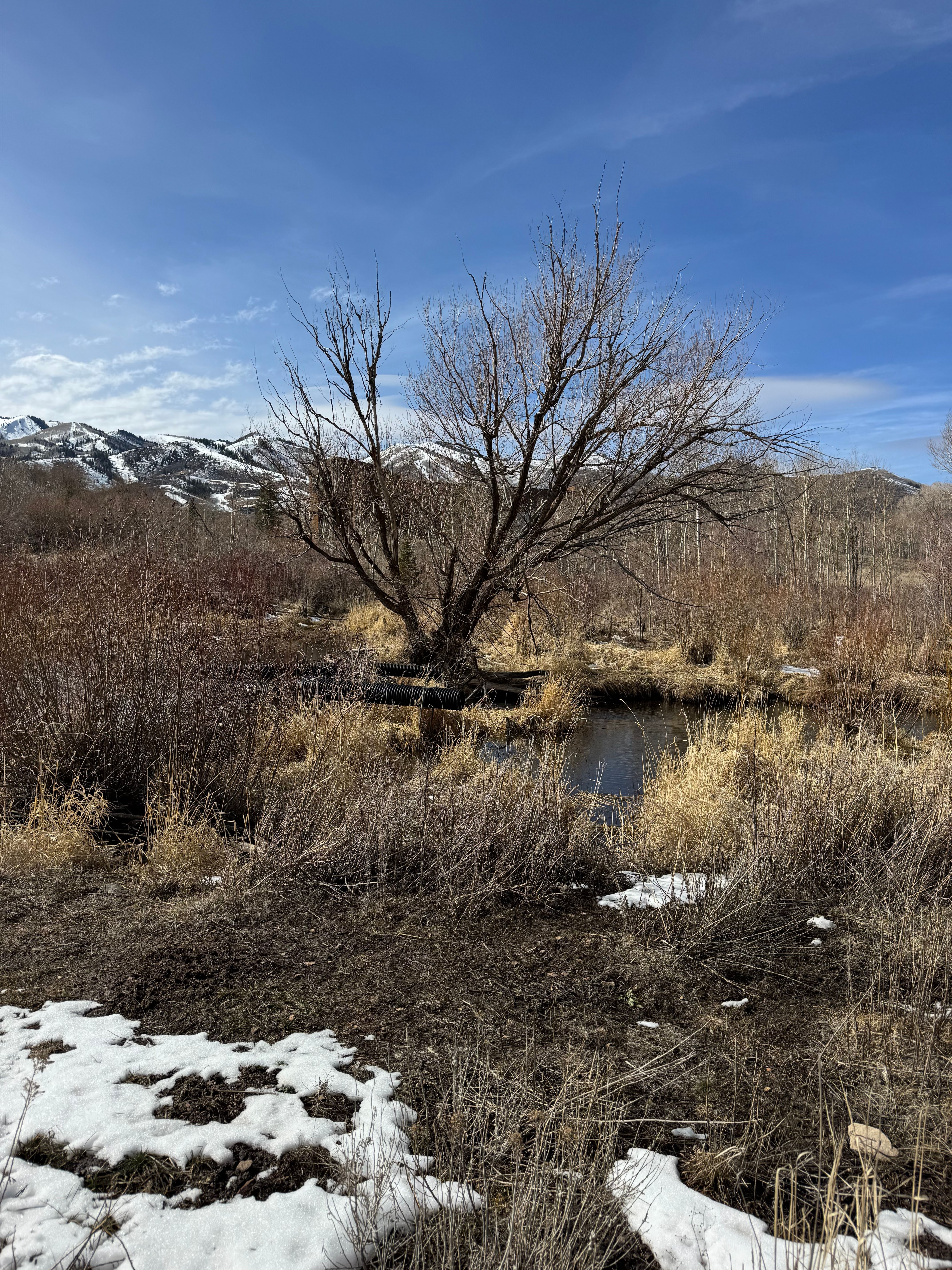 Winter landscape in Park City, Utah, Wasatch Back setting not Park City Heights architecture