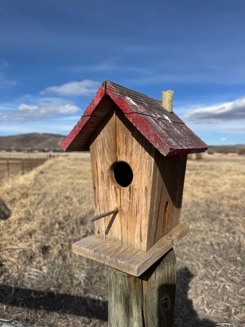 Free A charming wooden birdhouse with a red roof in a sunny Park City field. Stock Photo