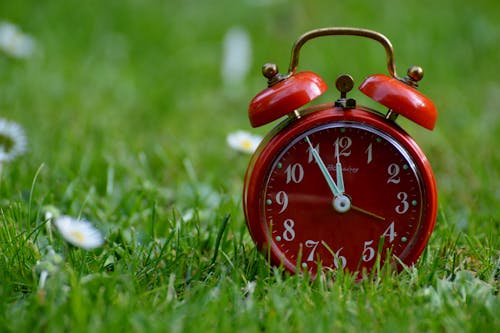 芝生のフィールドに赤い2ベル目覚まし時計