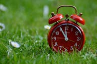 红色复古闹钟置于郁郁葱葱的绿草上，象征着时间与自然