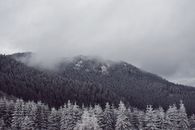 雾蒙蒙的冬日里，白雪覆盖着针叶林，山脉笼罩在薄雾之中