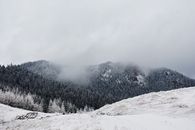 宁静的冬季山地景观中，白雪与薄雾覆盖着森林密布的山丘