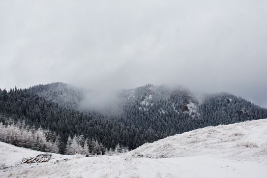 宁静的冬季山地景观中，白雪与薄雾覆盖着森林密布的山丘