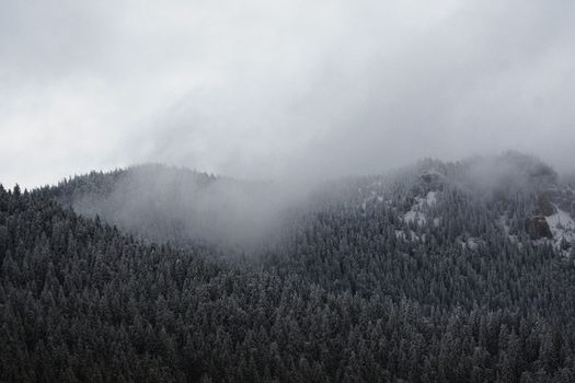 针叶林山脉笼罩在迷雾中，薄雾景观迷人