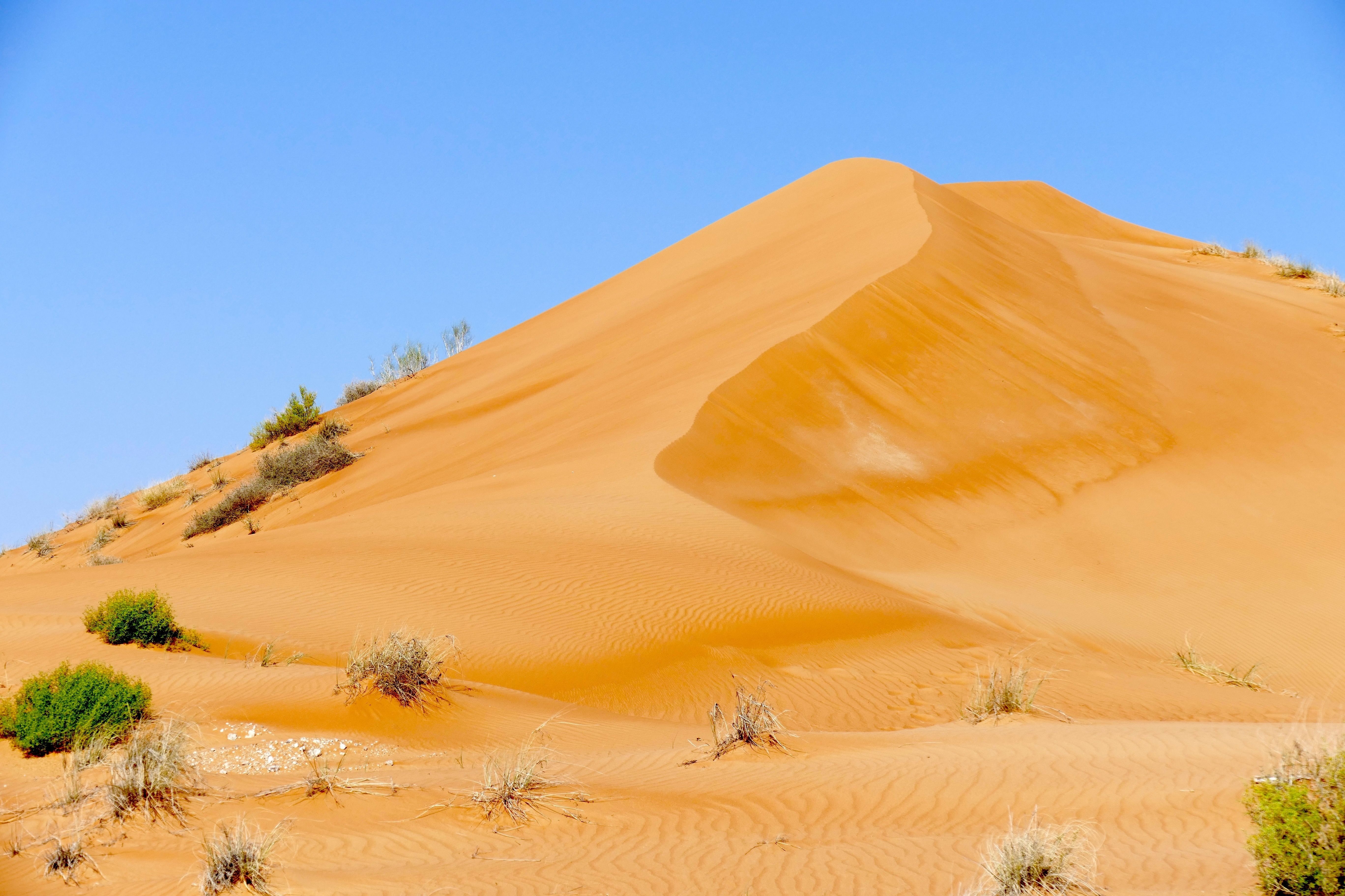 Photo of Namibia