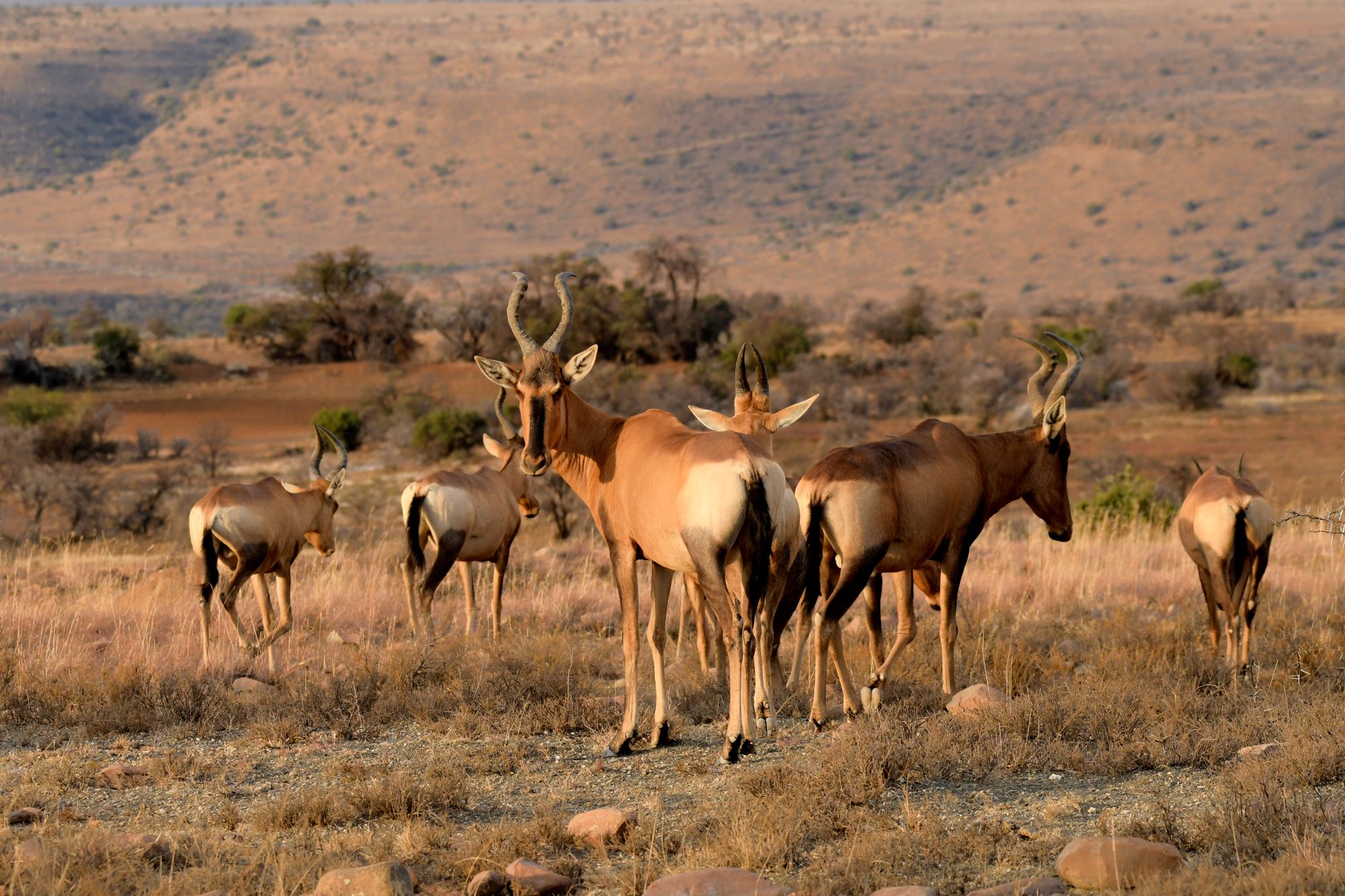 Durban, Drakensberg & Hluhluwe Self-Drive