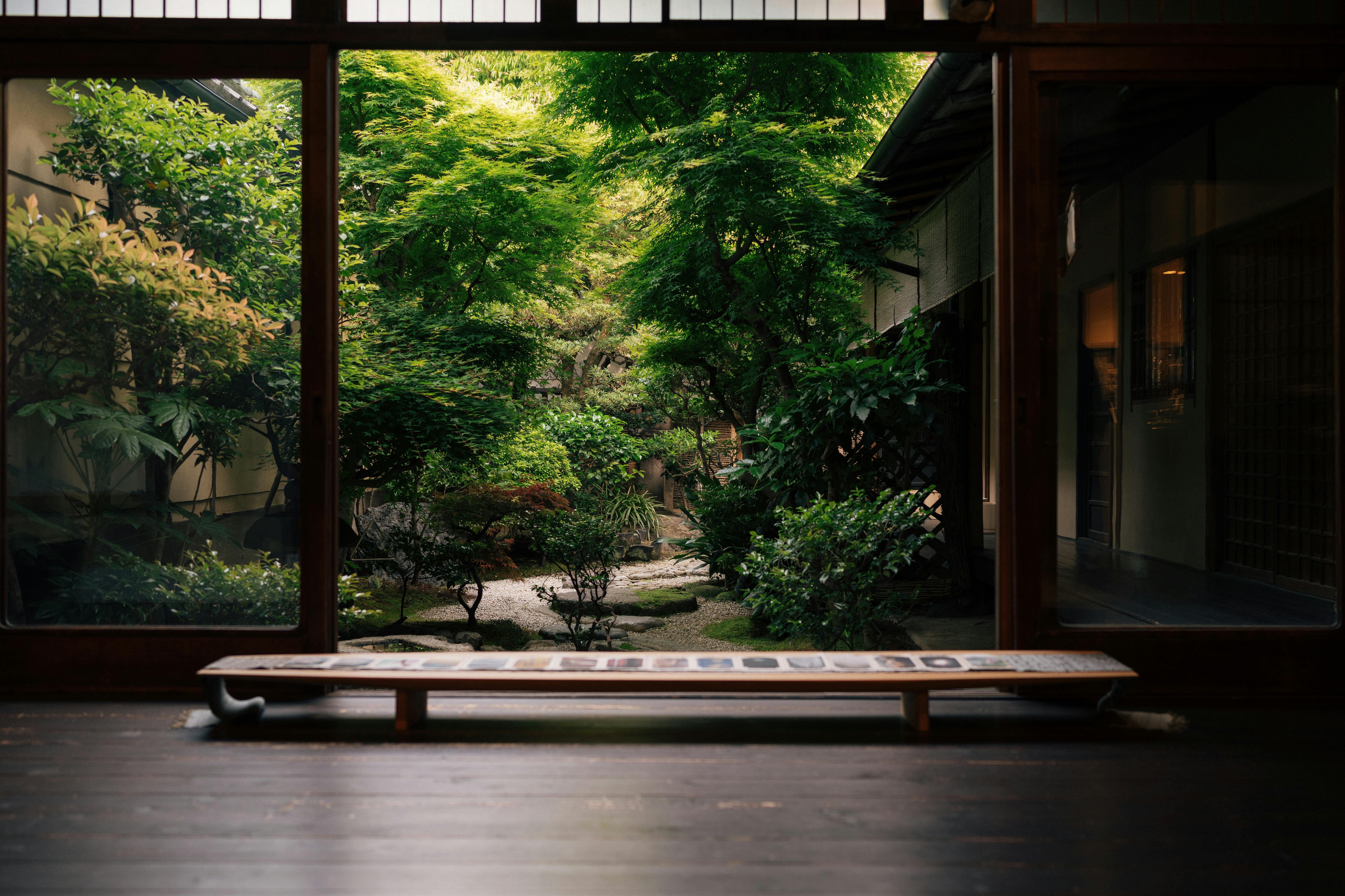 Vue sereine d'un jardin japonais luxuriant depuis une maison traditionnelle de Kyoto, capturant la beauté naturelle et l'élégance culturelle.