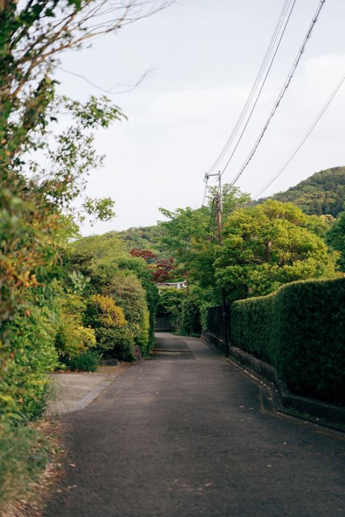 Free Tranquil suburban street in Japan surrounded by lush green foliage on a sunny day. Stock Photo