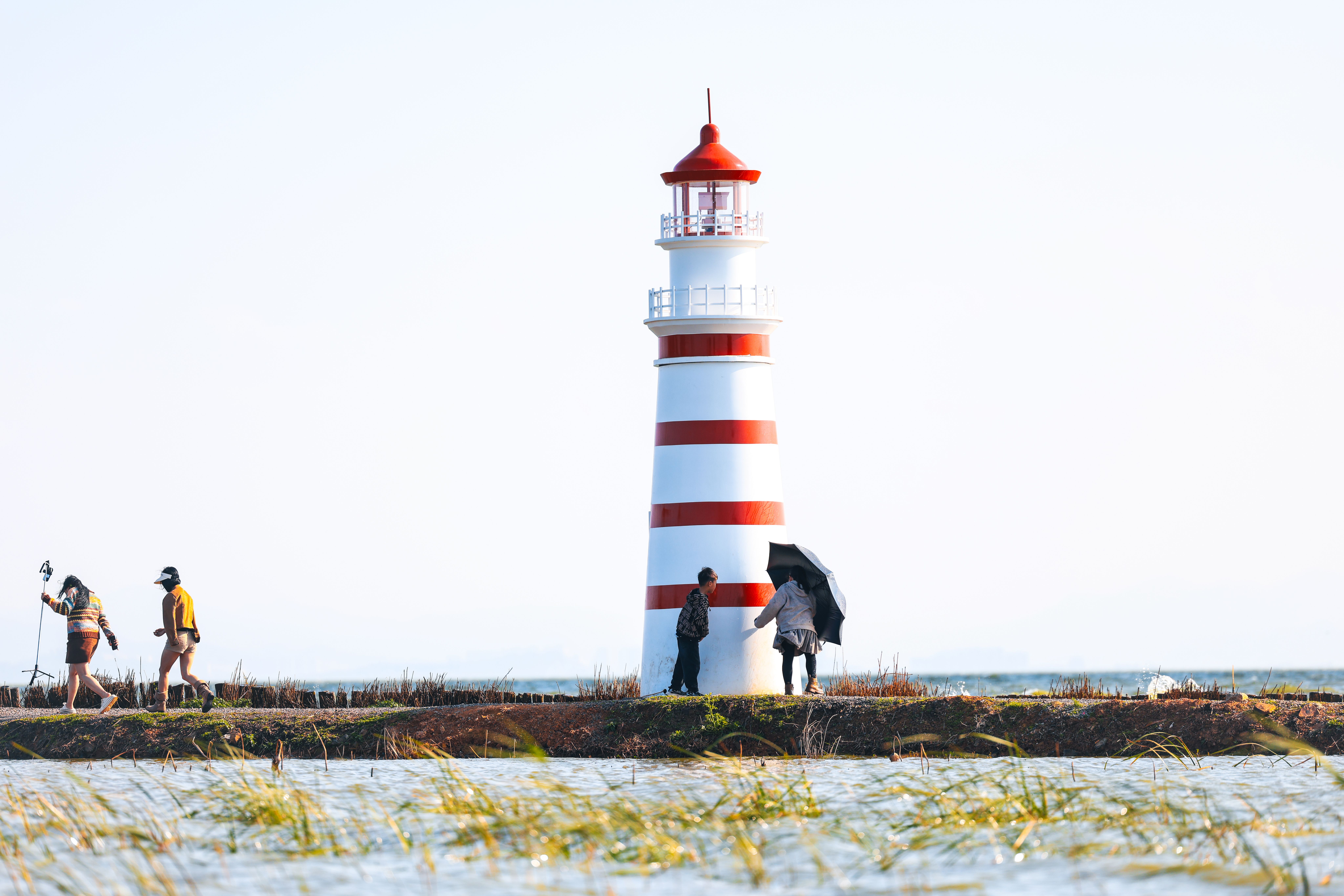 Vibrant Lighthouse by the Seashore Daylight · Free Stock Photo