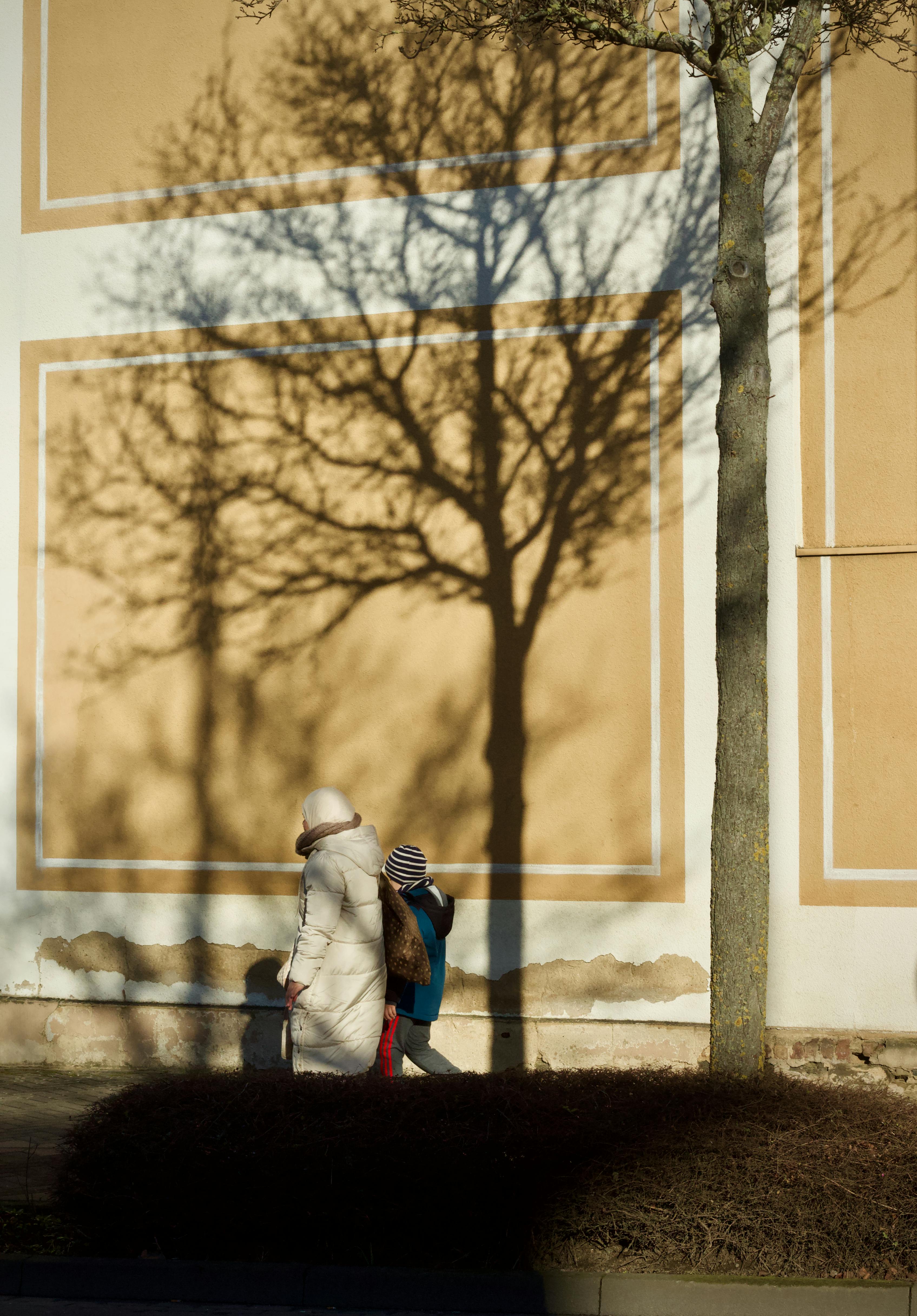 Gratis Seorang wanita dan seorang anak berjalan di dekat tembok yang disinari bayangan pepohonan di bawah sinar matahari musim dingin. Foto Stok
