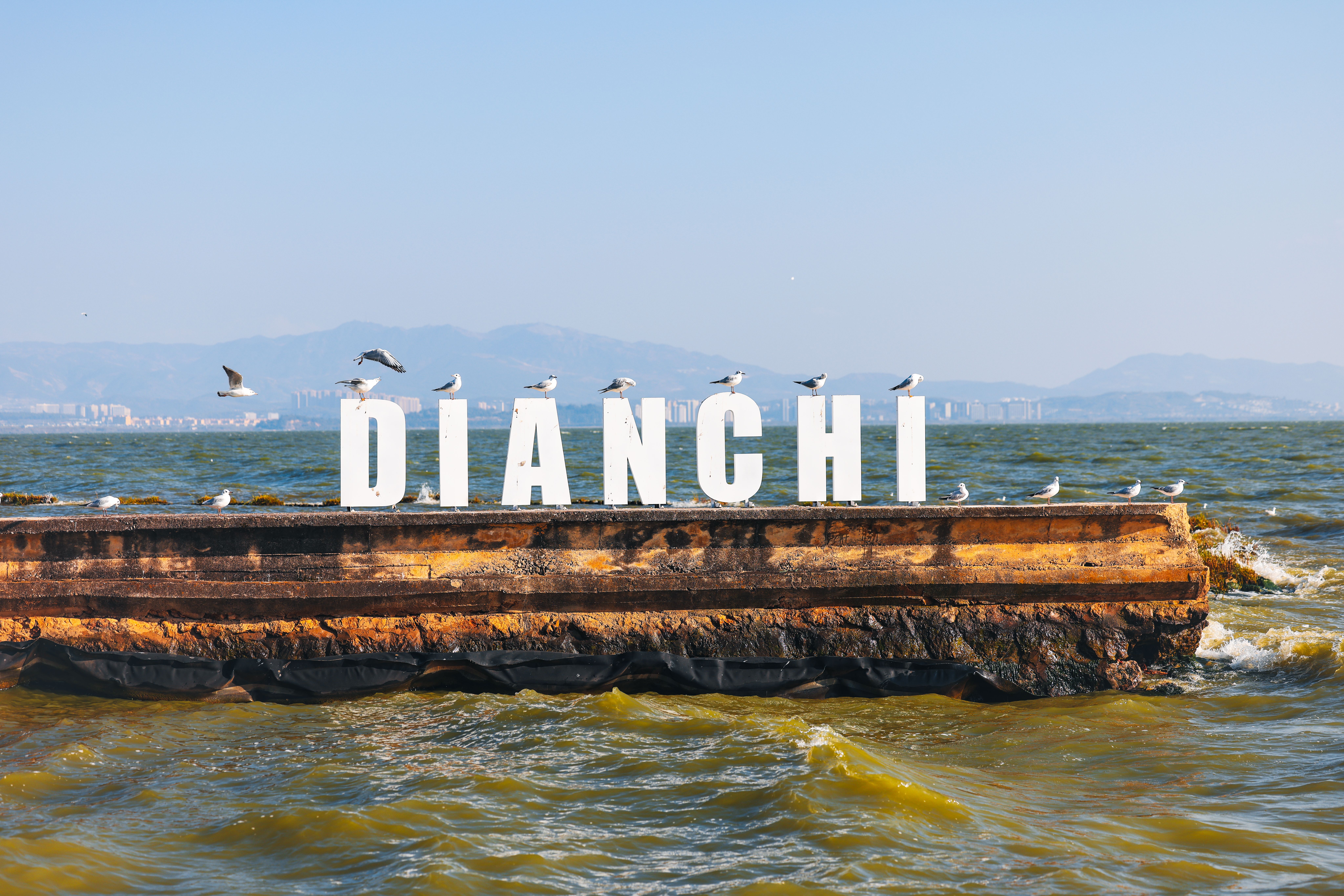 Kunming Dianchi Lake Guide 2026: Birdwatching, Cycling & Lakeside Villages