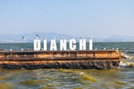Seagulls at Dianchi Lake Pier in China