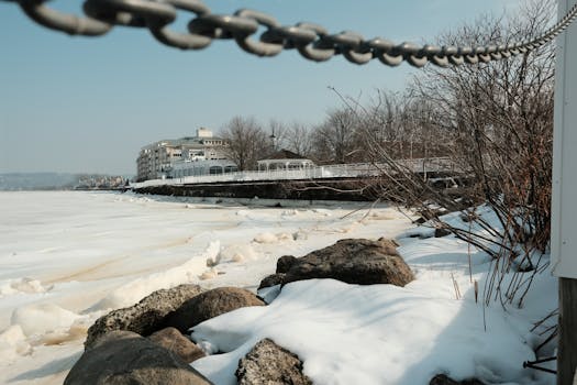 Free stock photo of adventure, backlight, close-up
