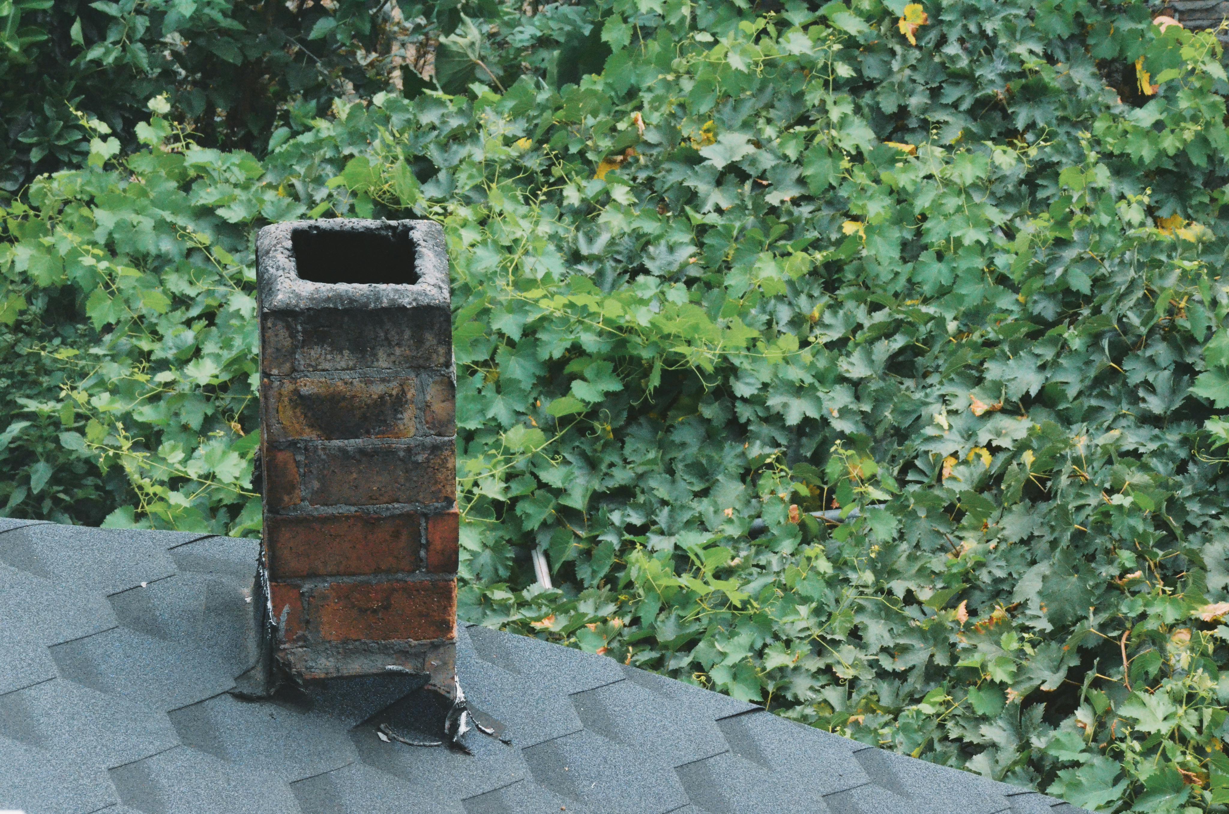Free A rustic brick chimney on a shingled roof with vibrant leafy background. Stock Photo