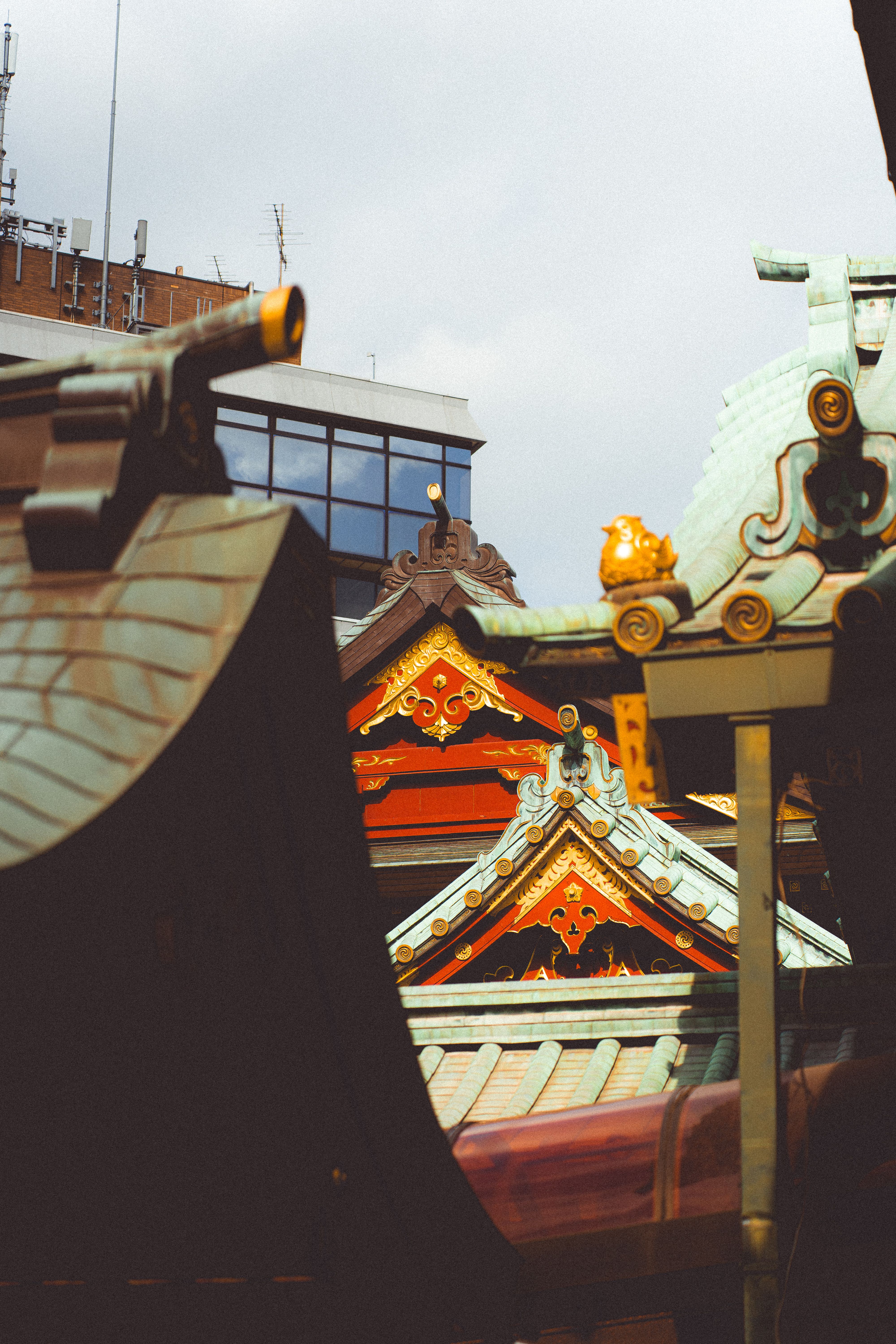 A vibrant view of traditional Japanese temple roofs juxtaposed with modern buildings in Tokyo.