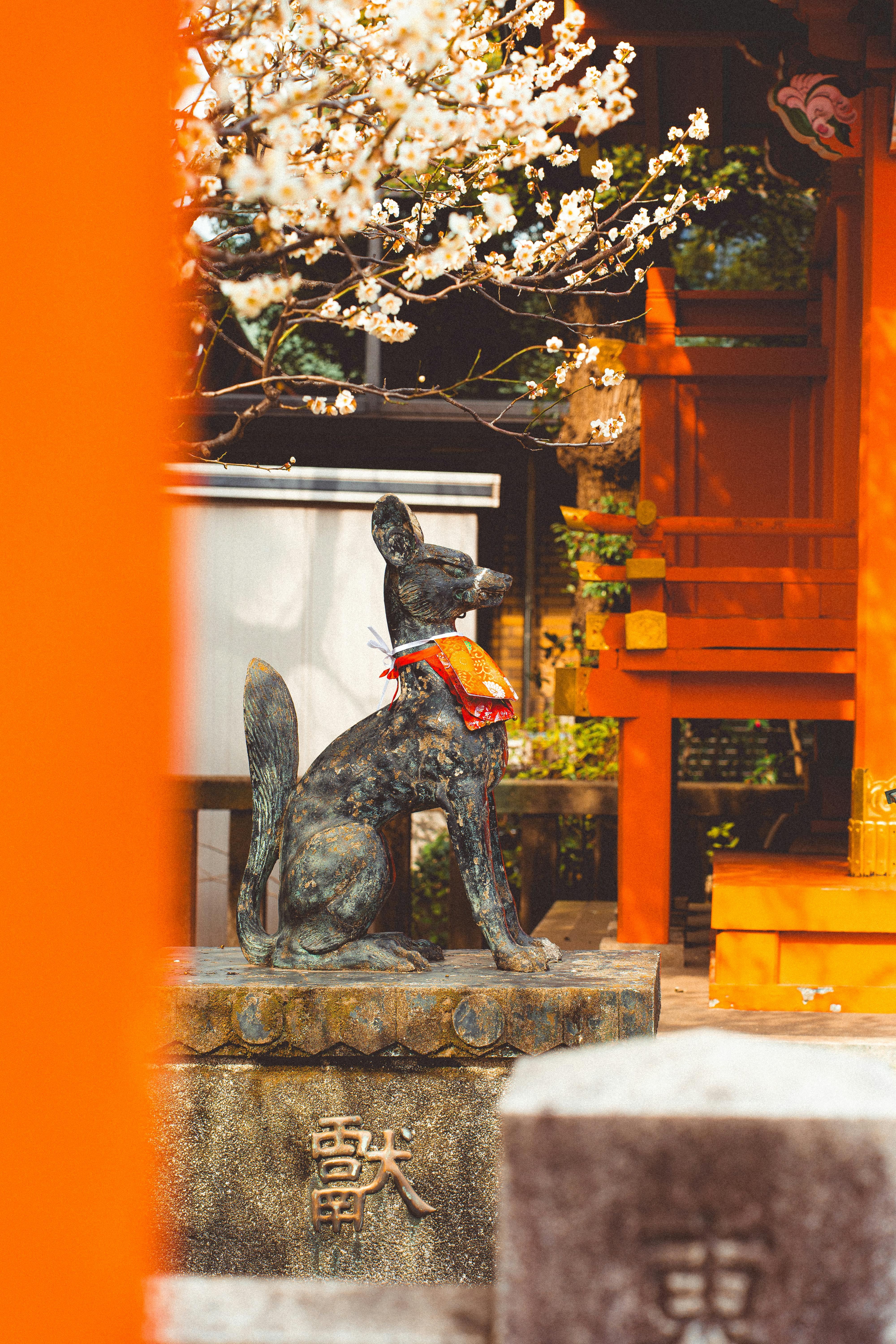 Free stock photo of downtown tokyo, explore japan, historic japan Stock Photo