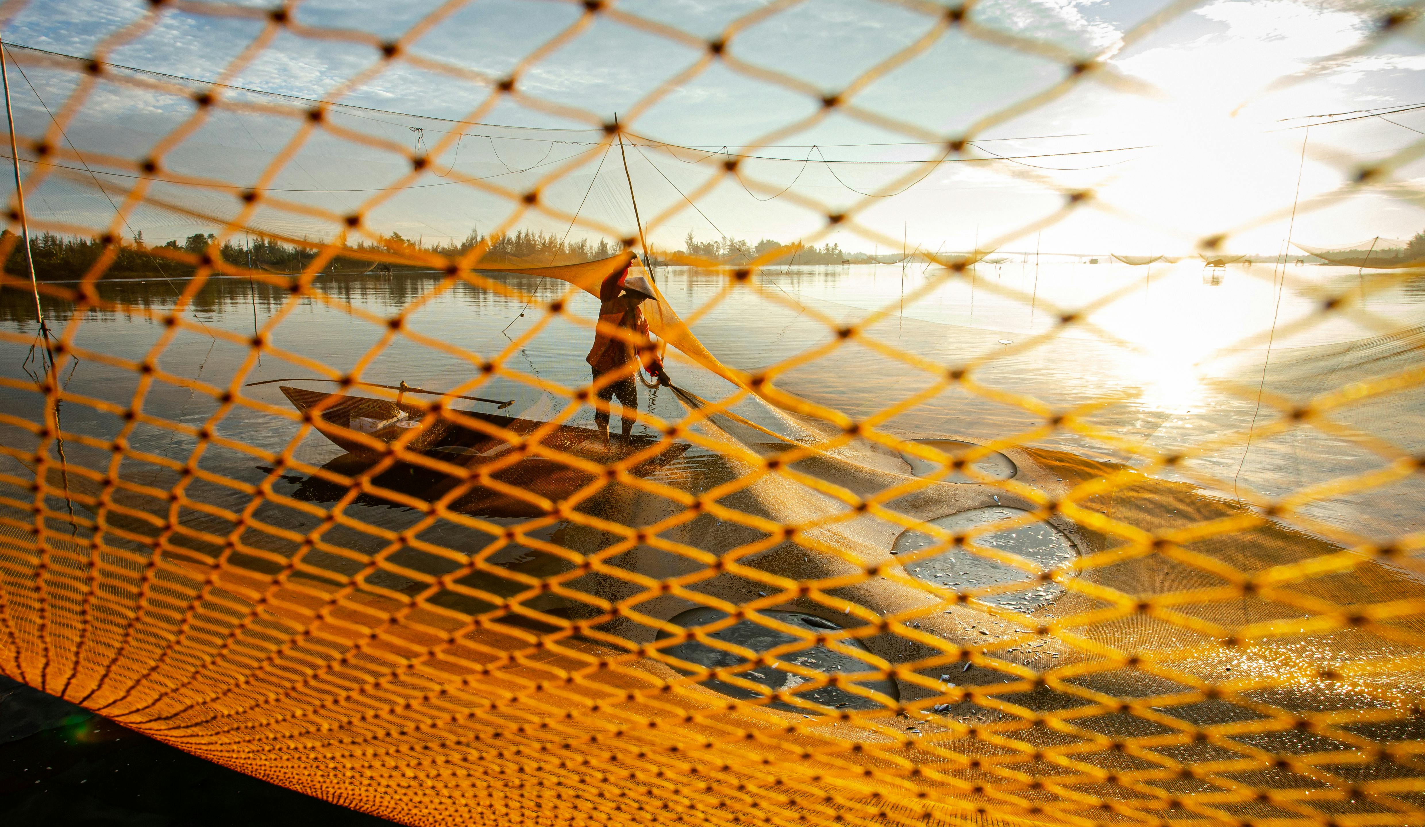 бесплатная Рыбак забрасывает сеть в спокойной воде на рассвете, вид сквозь золотистую сеть. Стоковое фото