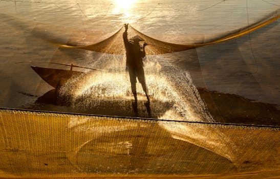 Dramatic silhouette of a fisherman casting a net during sunrise, creating a golden reflection on the water.