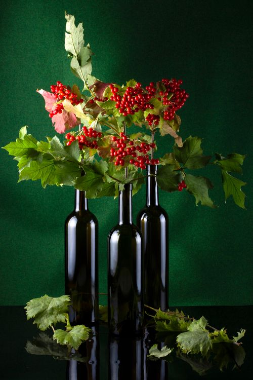 Free Elegant still life with vibrant red berries in bottles against a green backdrop. Stock Photo