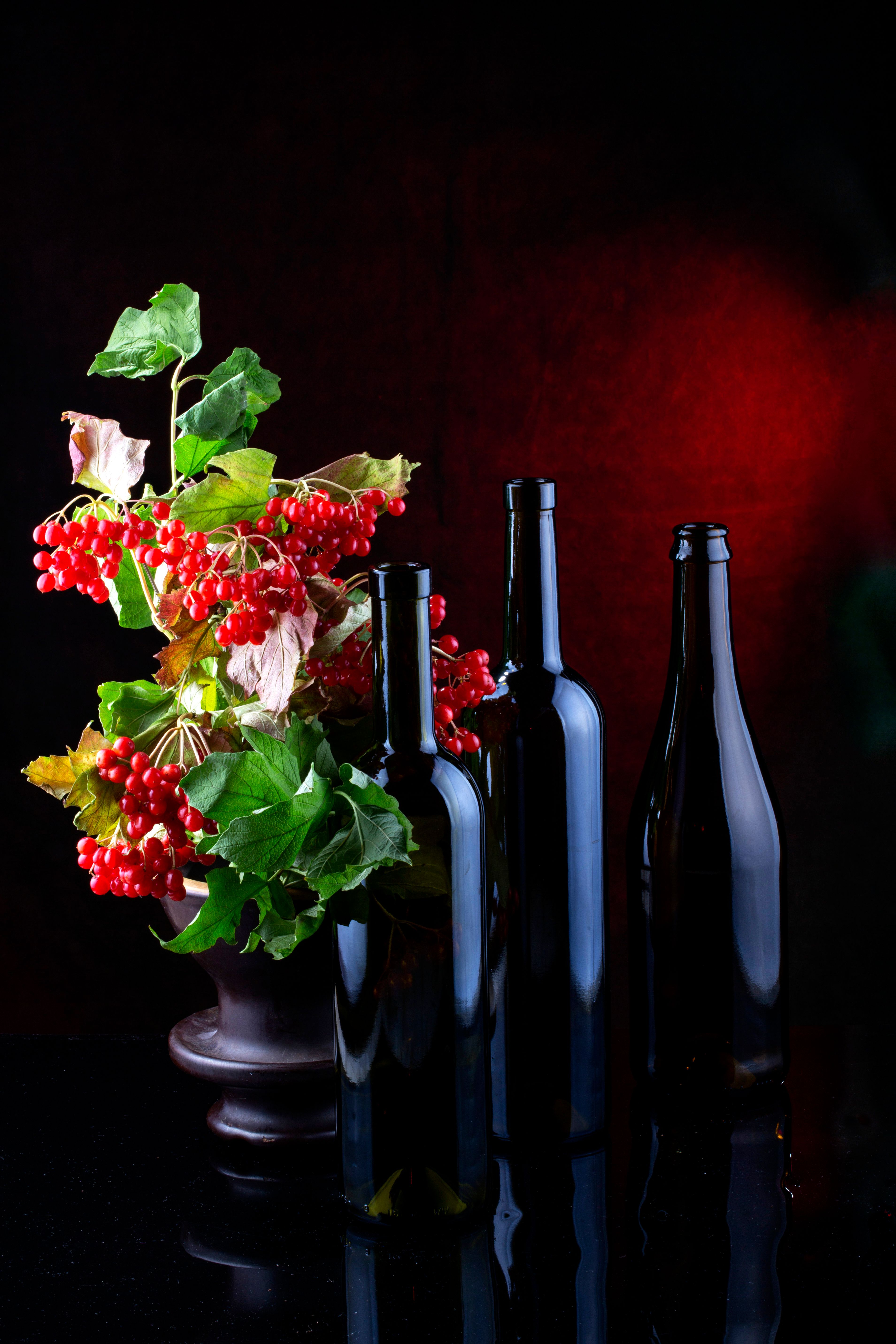 Elegant Still Life with Wine Bottles and Viburnum · Free Stock Photo