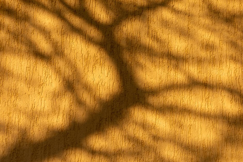 Abstract image of tree shadows on a yellow textured wall in bright light.