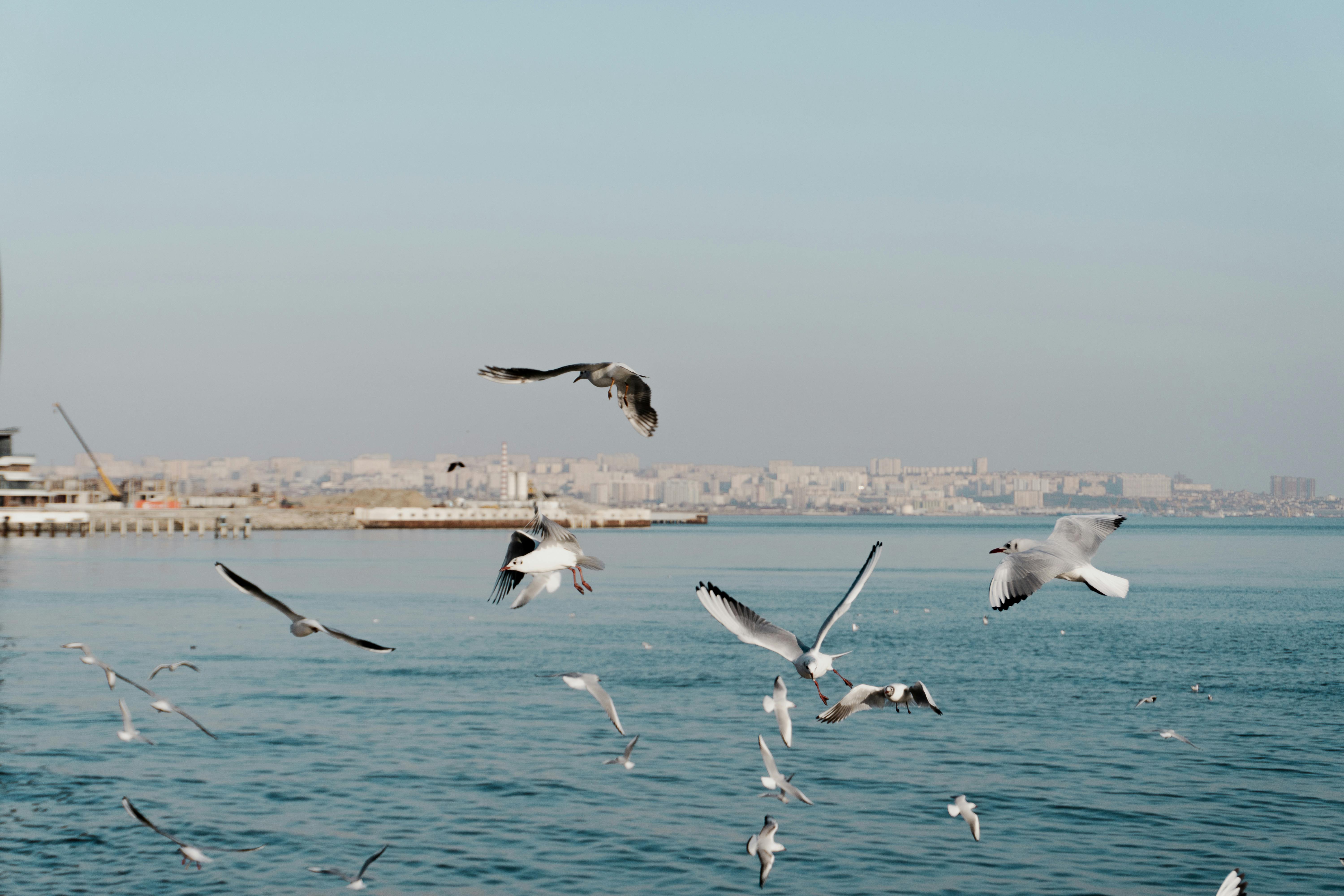 表面上和平共處，實際上各國暗潮洶湧的國際矛盾
