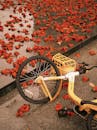 Yellow Bicycle Surrounded by Red Blossoms in Guangdong