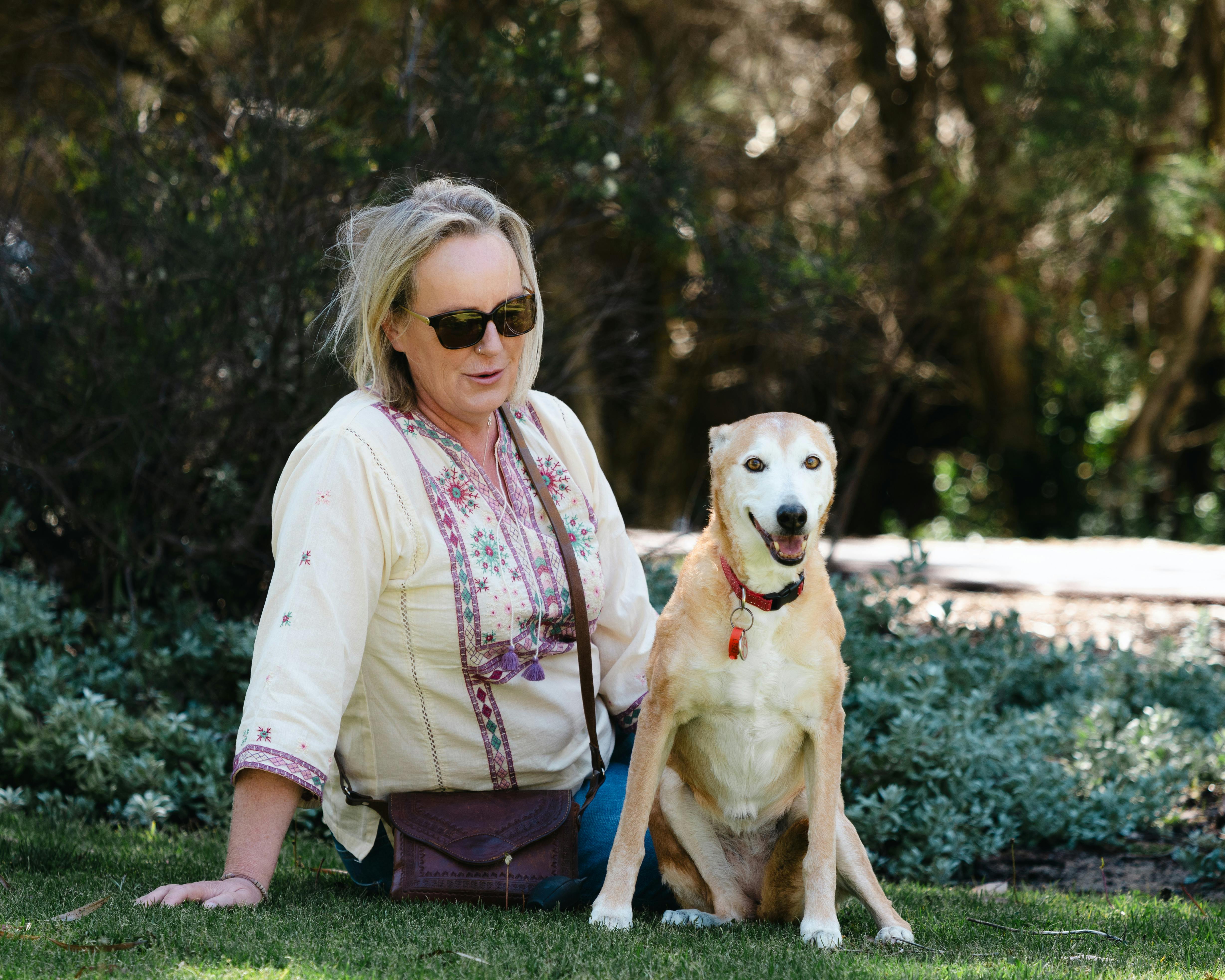 9 Best Pet Insurance Companies of May 2026 — Photo by Ajay Lamichhane on Pexels