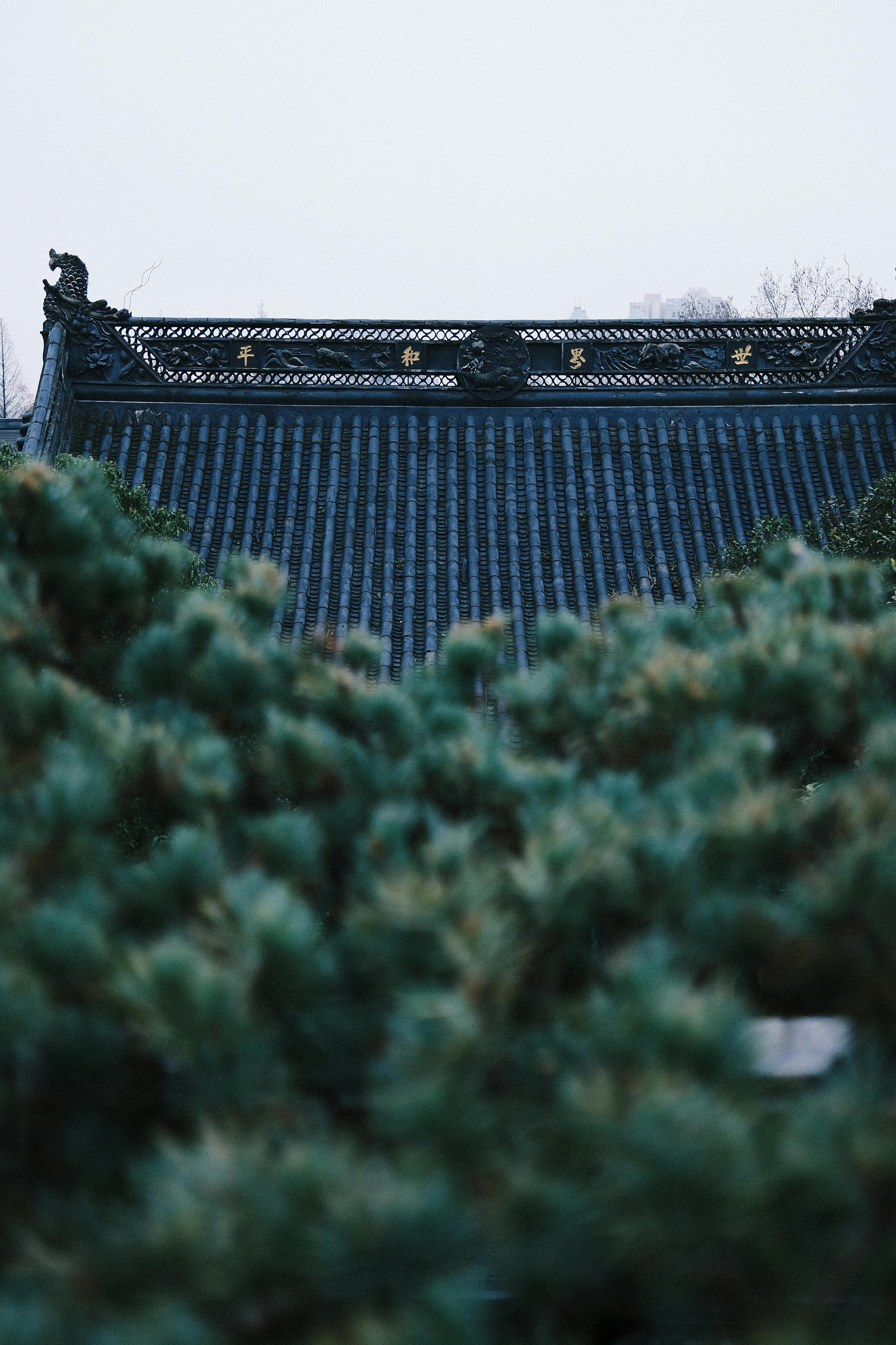 無料 緑と青の色合いの豊かな緑に囲まれた伝統的な中国の屋根の静かな景色。 写真素材