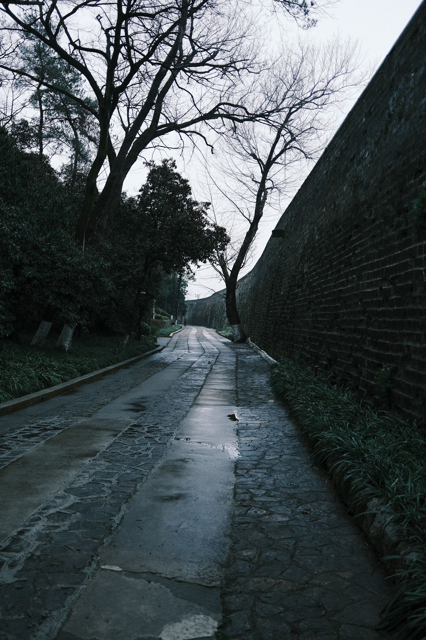 南京四季旅行怎么选：梧桐、梅花、秦淮夜色