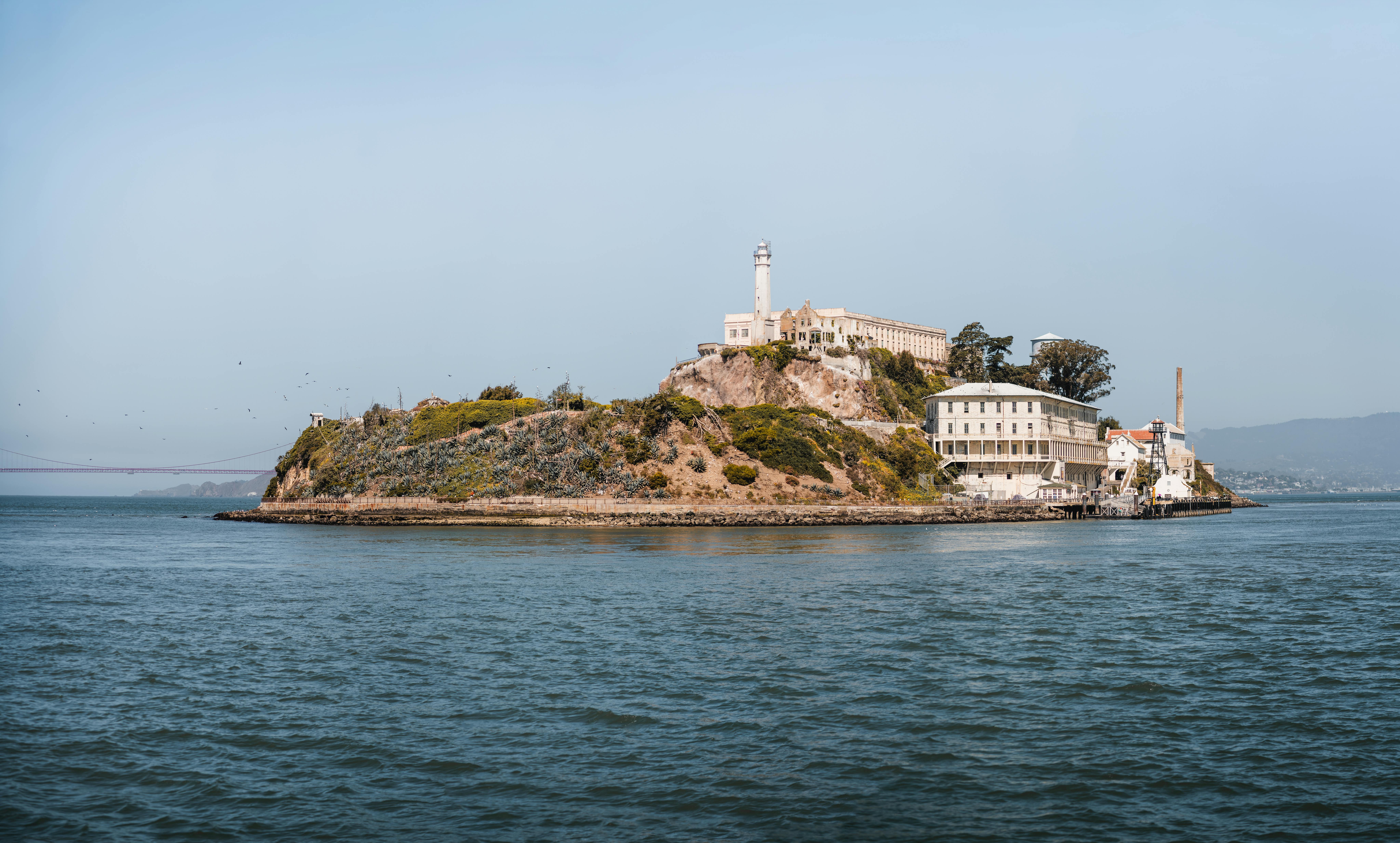 The Best Family Attorneys in the Bay Area | Bay Area Lawyers for Divorce, Custody and More — Photo by Clément Proust on Pexel