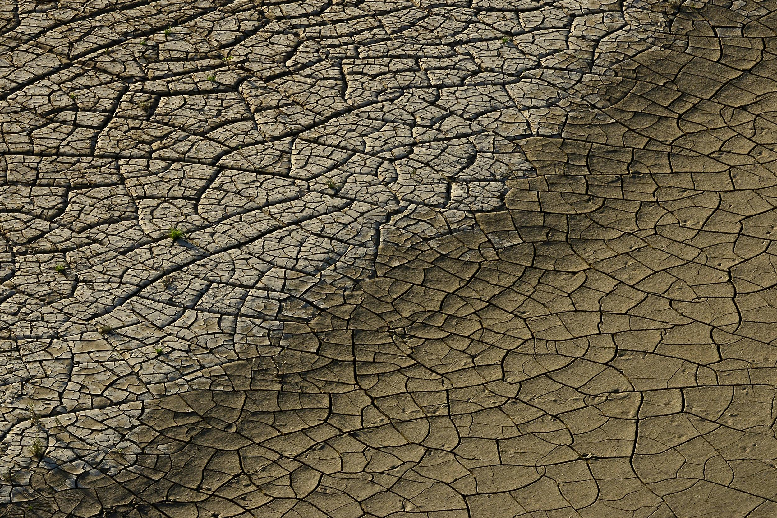 бесплатная Крупный план потрескавшейся сухой почвы, демонстрирующий последствия засухи и изменения климата. Стоковое фото