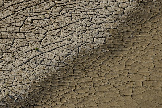 Close-up of cracked dry soil depicting drought and climate change effects.