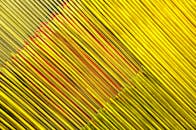 Abstract Pattern of Yellow and Red Incense Sticks