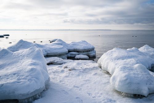 Free Winter landscape of ice-covered shoreline in Estonia with calm sea and snow. Stock Photo