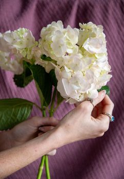 Close-up of hands holding a delicate hydrangea bouquet with a soft purple background.