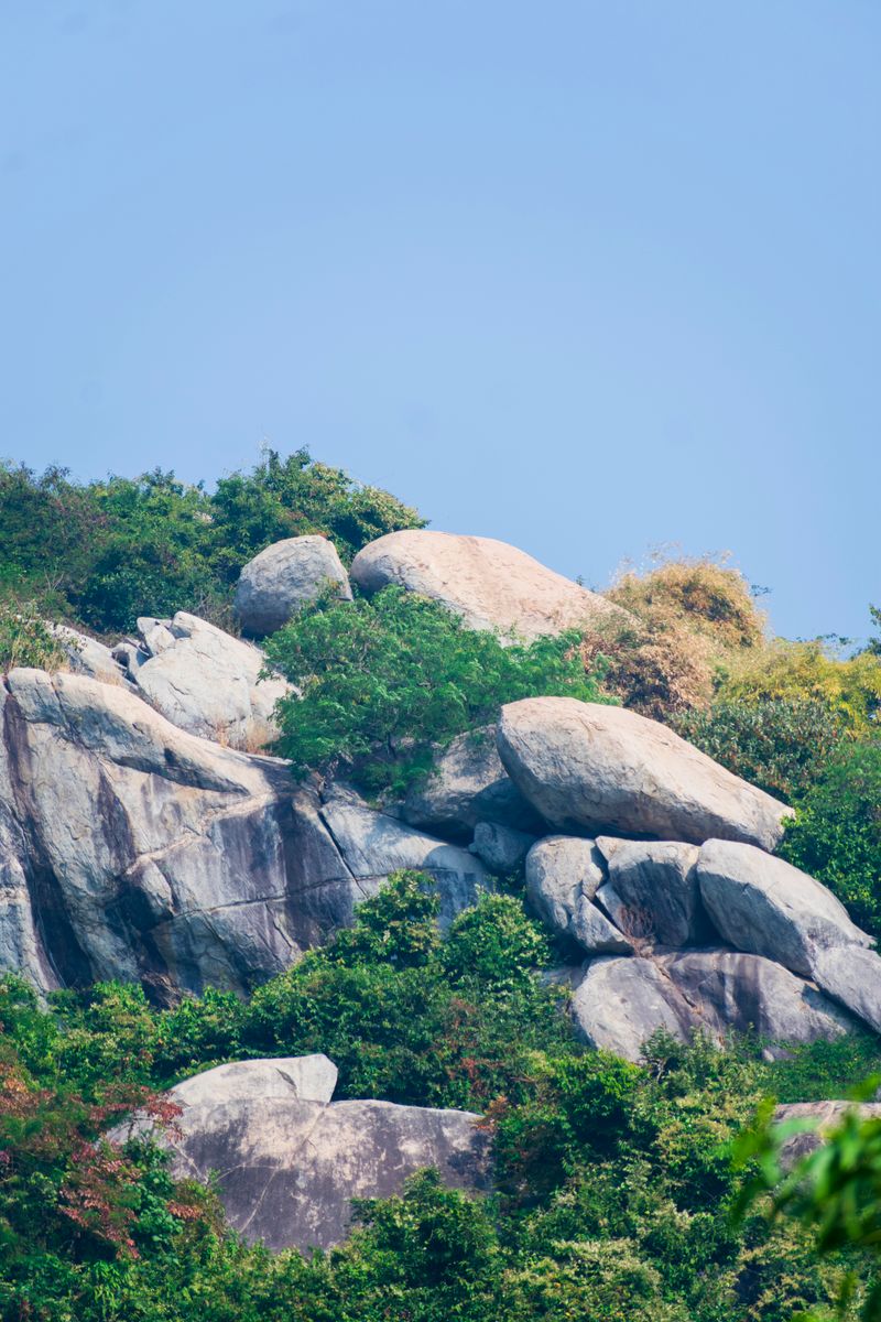 Photograph of a rocky hill covered with greenery under a clear blue sky, showcasing nature's beauty.