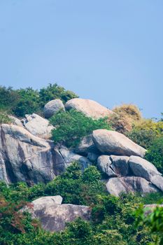Photograph of a rocky hill covered with greenery under a clear blue sky, showcasing nature's beauty.