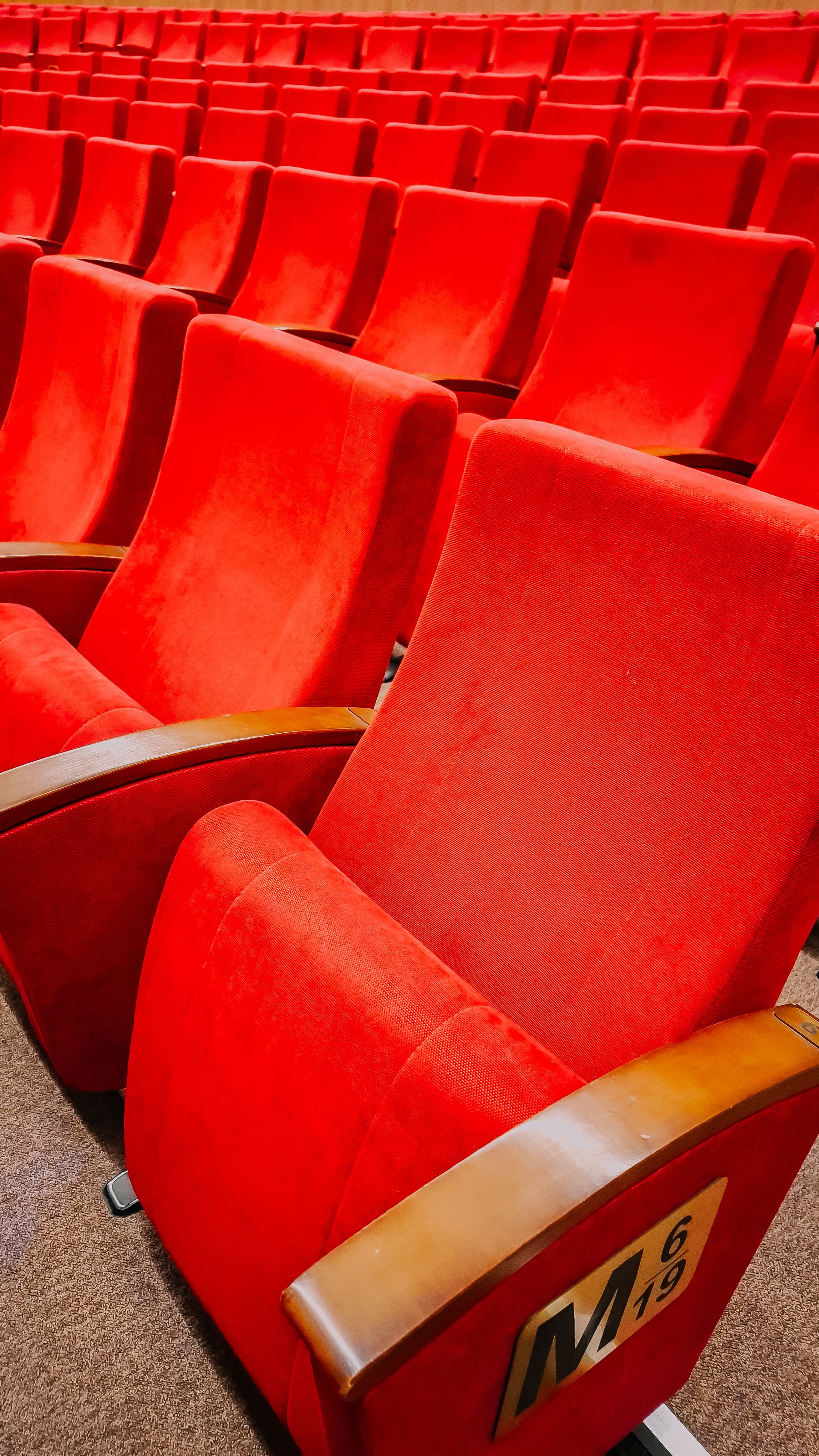 Rows of red velvet theater seats in a quiet, empty auditorium, waiting for an audience.