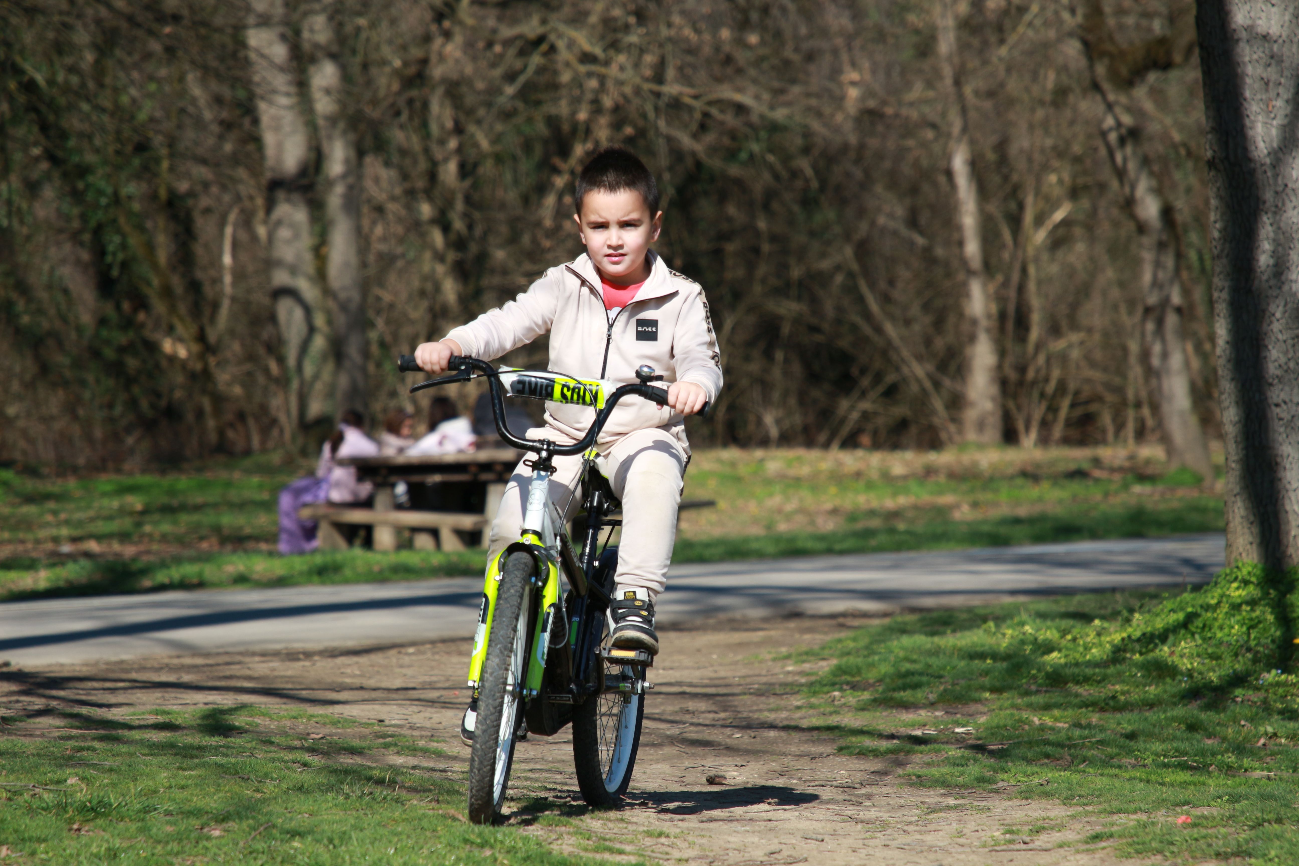 Child riding a bike in a sunny park, showcasing leisure and outdoor activity.
