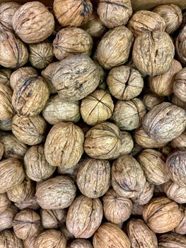 Premium California Grown Walnuts