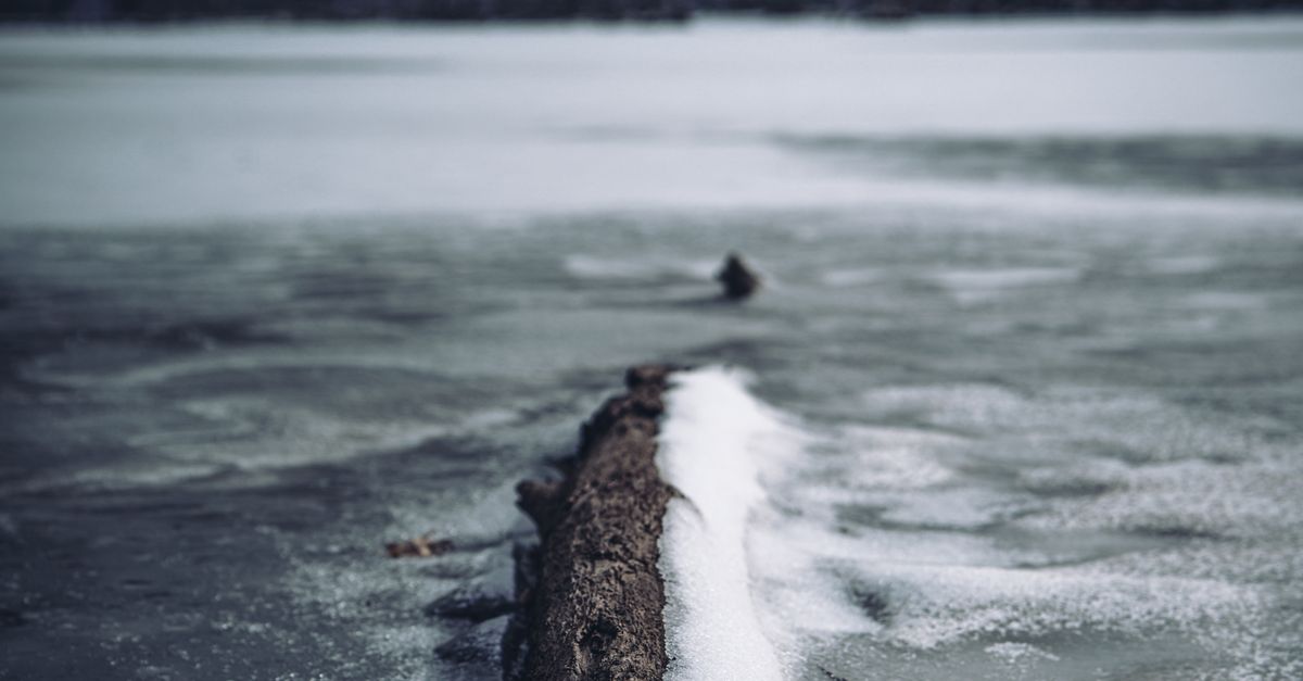 Frozen Tree Rtrunk Frozen Lake with Snow-Covered Fallen Tree Trunk · Free Stock Photo