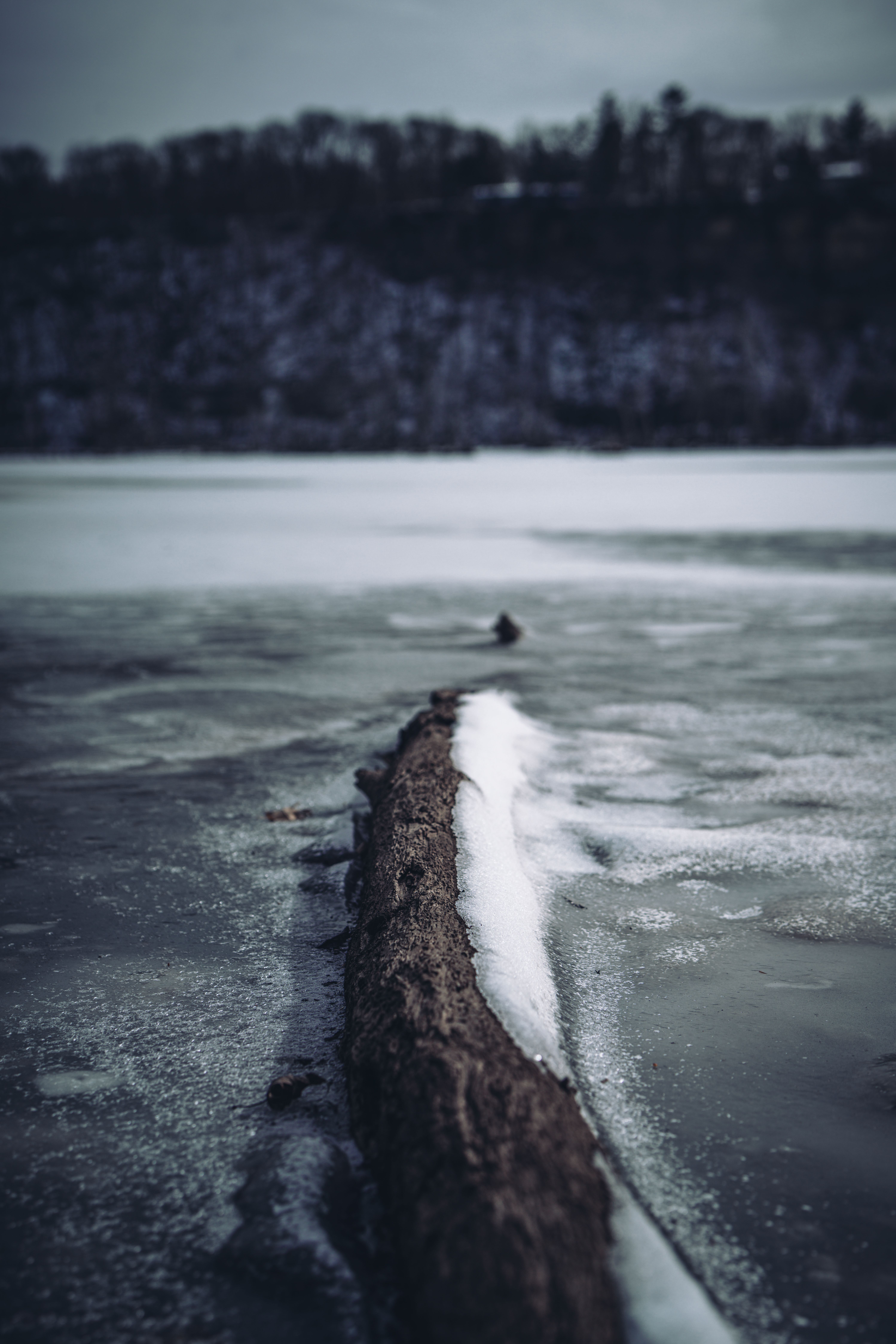 Frozen Lake with Snow-Covered Fallen Tree Trunk · Free Stock Photo