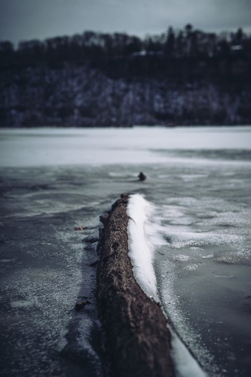 Frozen Tree Rtrunk Frozen Lake with Snow-Covered Fallen Tree Trunk · Free Stock Photo