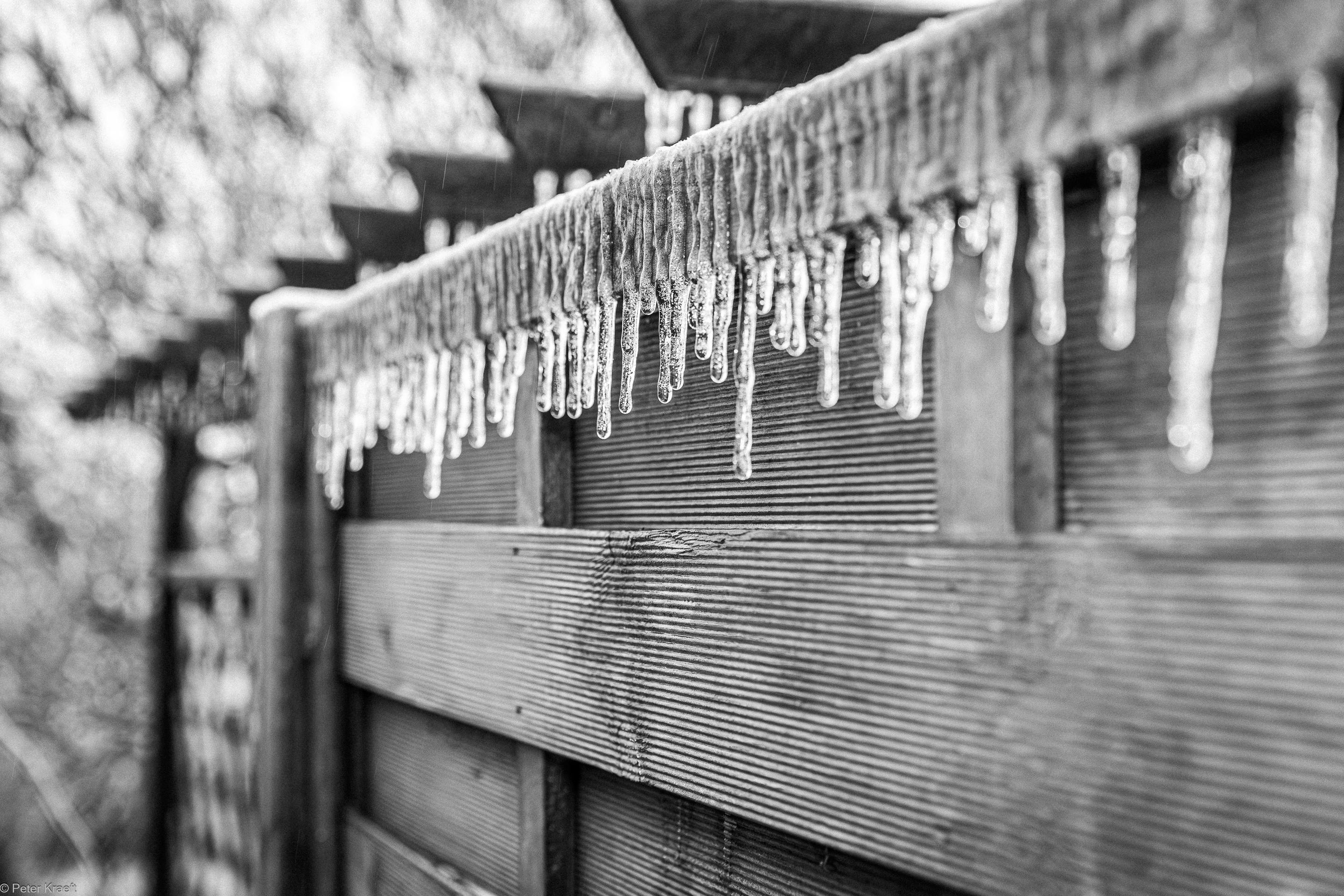 Gratis Foto stok gratis alam, alami, artistik Foto Stok