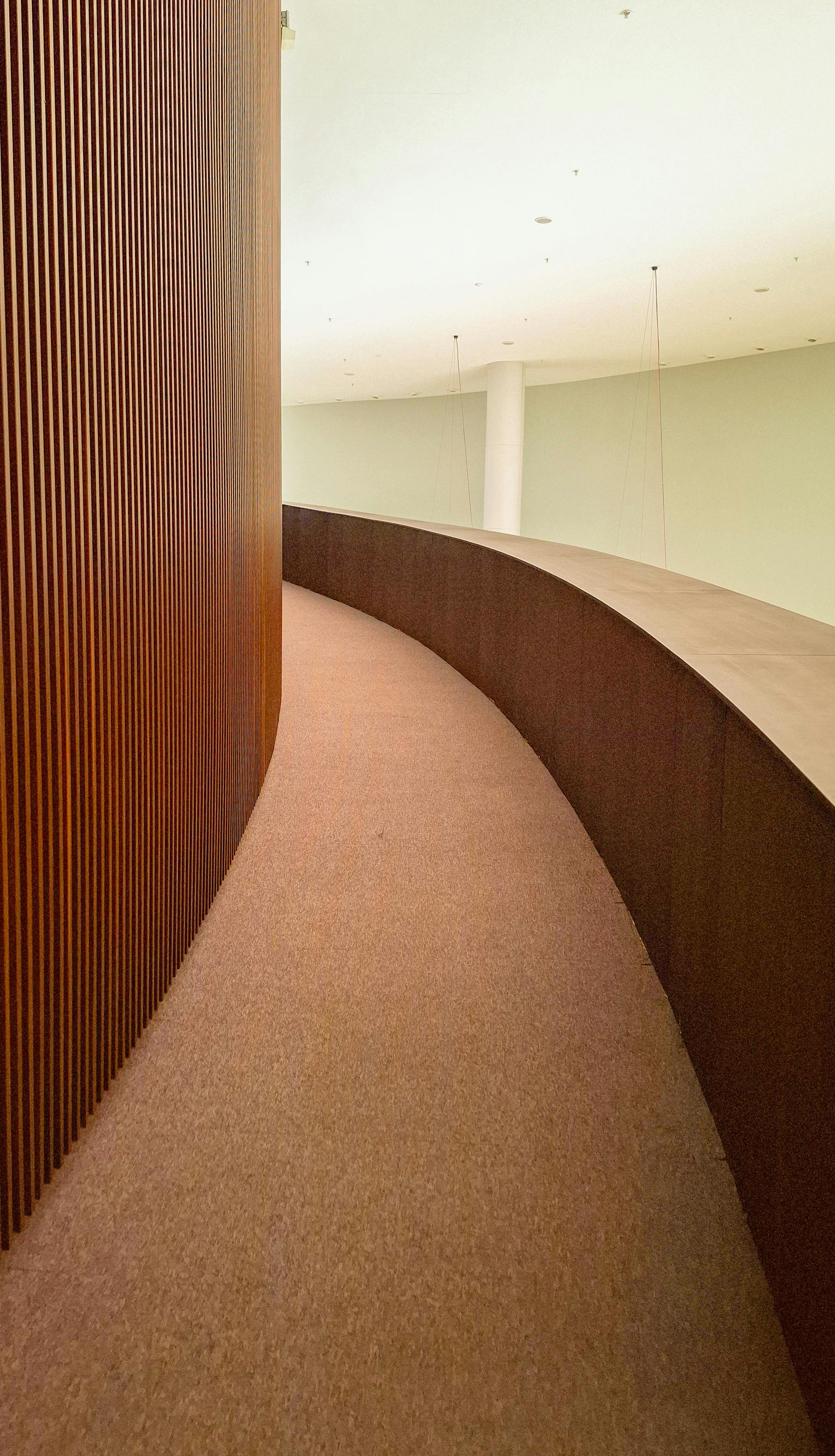 Gratuit Un élégant passage intérieur au design minimaliste, doté d'un mur en bois incurvé. Photos