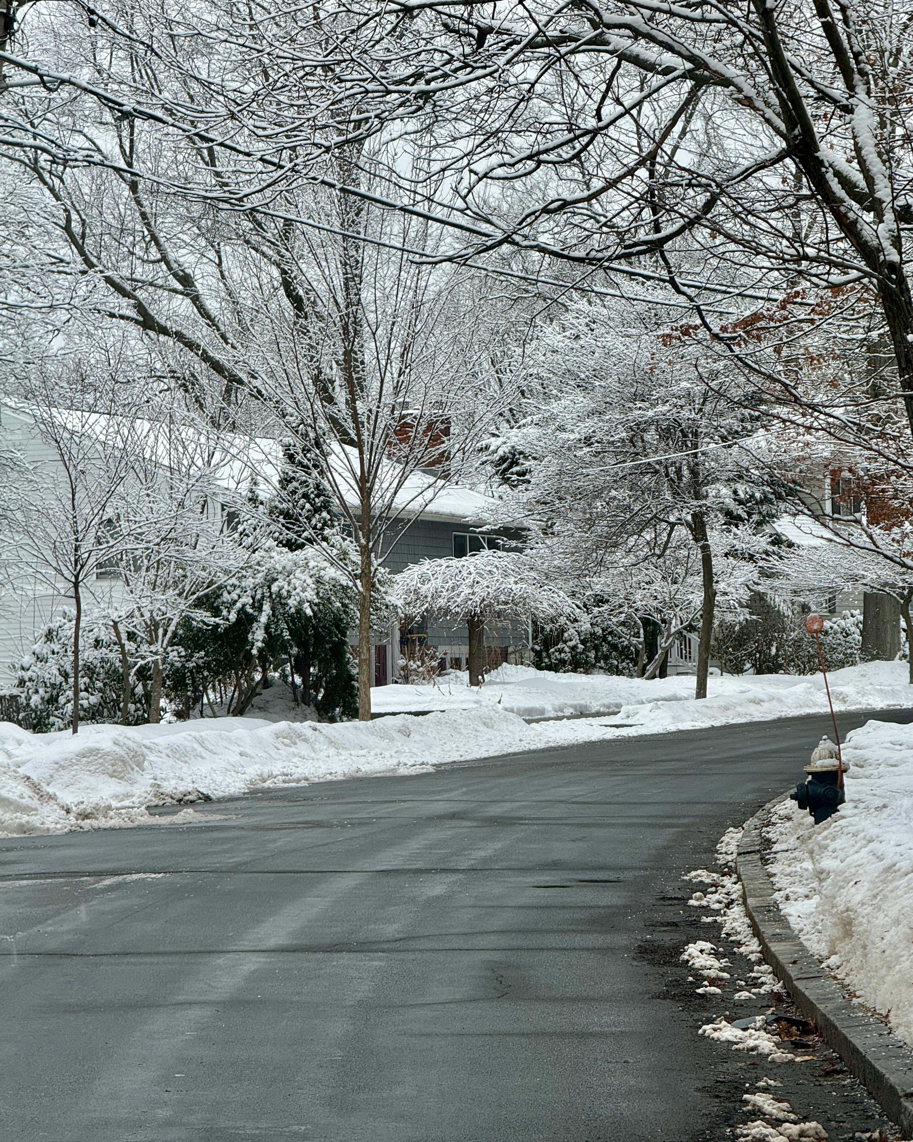 無料 冬には雪に覆われ、穏やかな住宅建築が並ぶ静かな郊外の街路。 写真素材