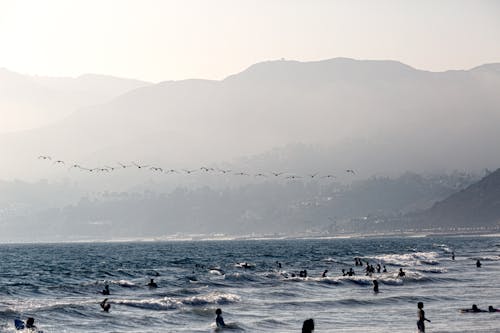 Flock Flying Birds Under People on Ocean