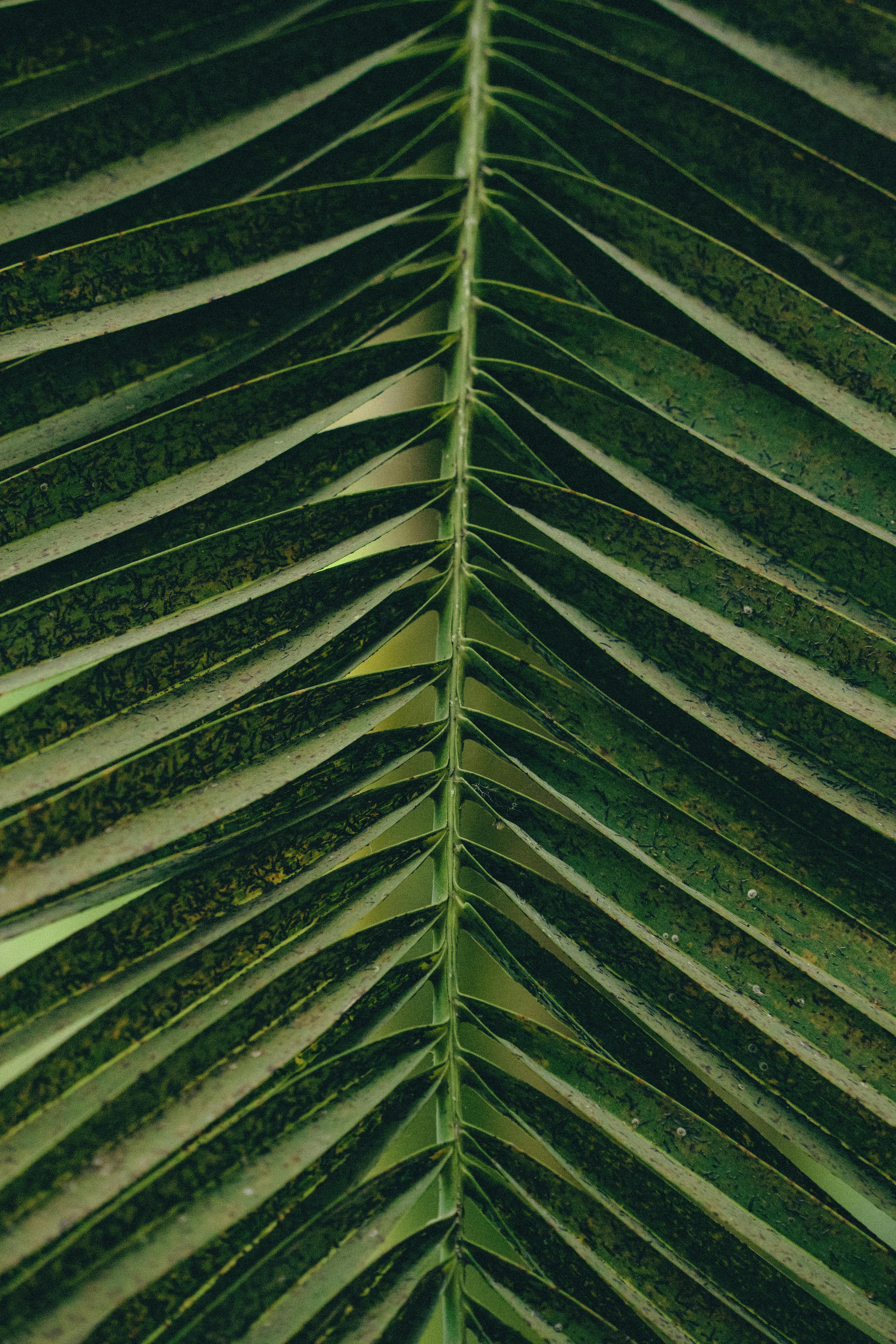 Free stock photo of abstract texture Stock Photo