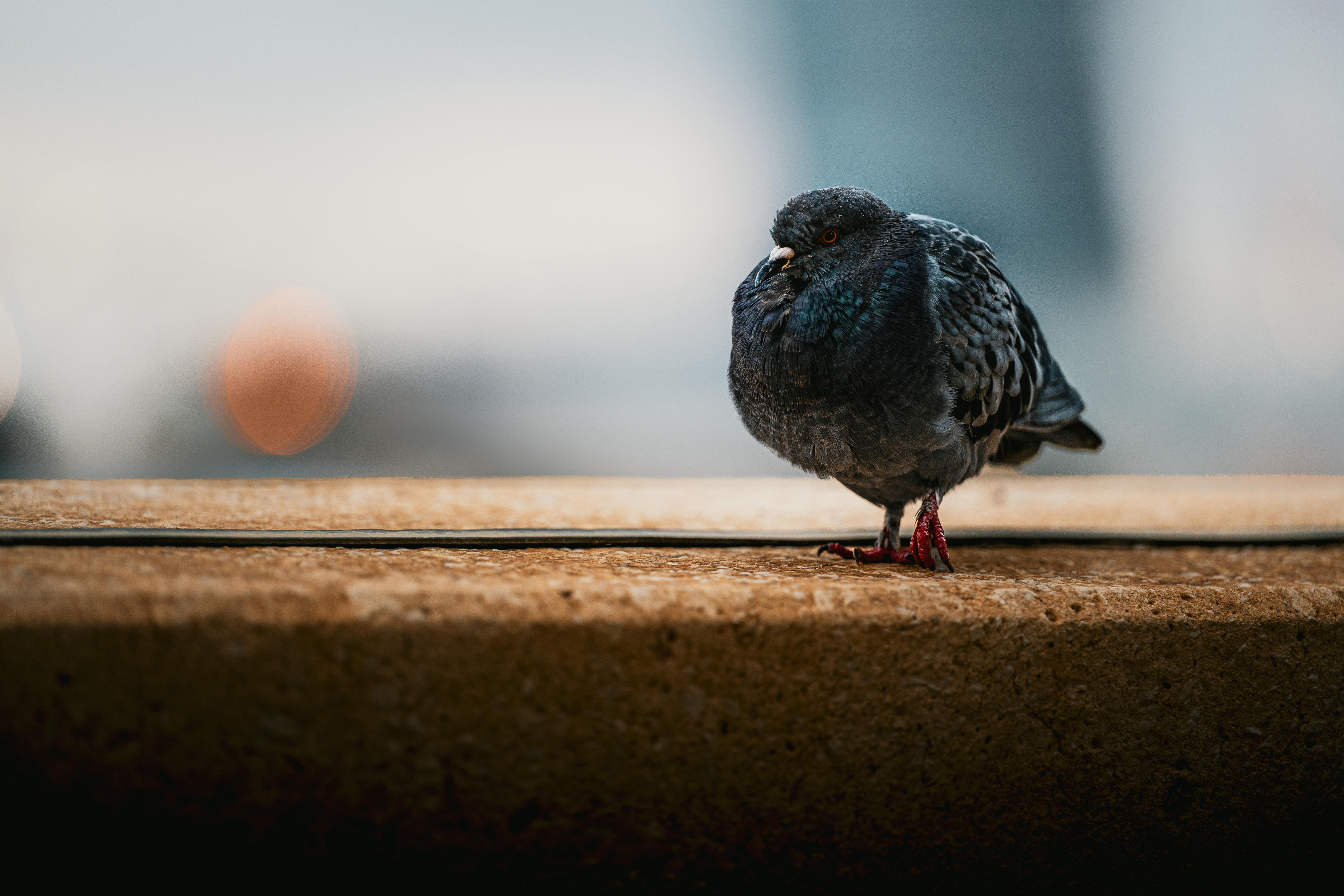 Free stock photo of arabian, arabian architecture, arabian city Stock Photo